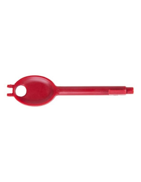 Acheter INIM KCP0020 Clé pour boutons-poussoirs d’alarme EC0021/IC0021 (lot de 10 unités)