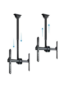 Acquistare OEM LPCE1170TSLI-B Supporto da soffitto per schermi 37"-70" 2