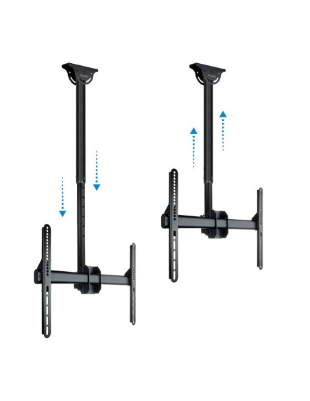 Kaufen OEM LPCE1170TSLI-B Deckenhalterung für Bildschirme 37"-70"