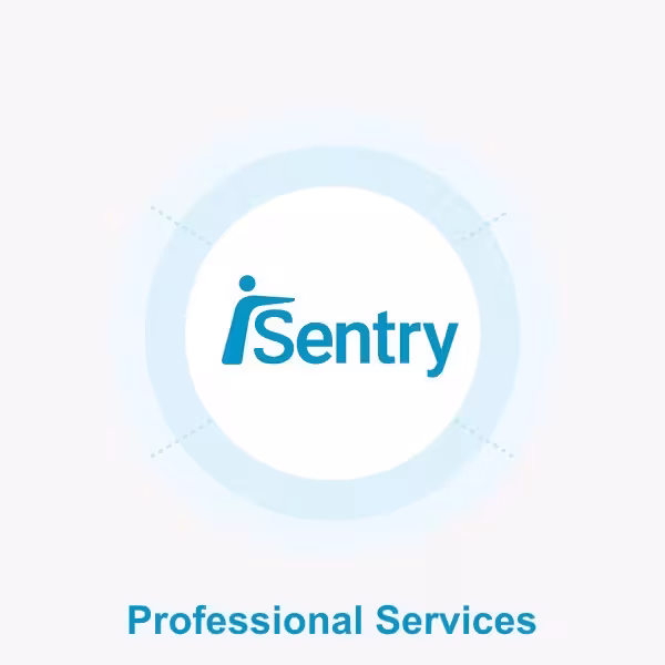 Comprar ELUVIANT IS-SERV-SEU Puesta en marcha Licencia Sentry por día