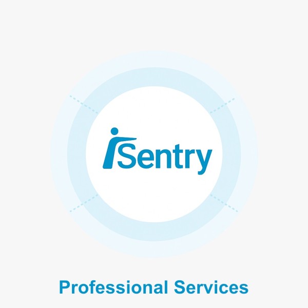 Kaufen INTELEXVISION IS-SERV-SEU Inbetriebnahme iSentry-Lizenz pro Tag
