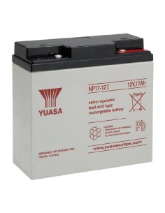 Acheter NOTIFIER PS-1217 Batterie 12 V. Capacité 17 Ah. Connexion par vis M6