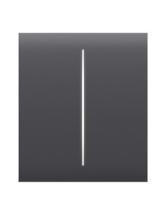 Kaufen AJAX LIGHTSWITCH-CENTER-2G-GP Ajax LightSwitch CenterButton 2-fach. Doppelter Zentral-Taster. Farbe Graphit