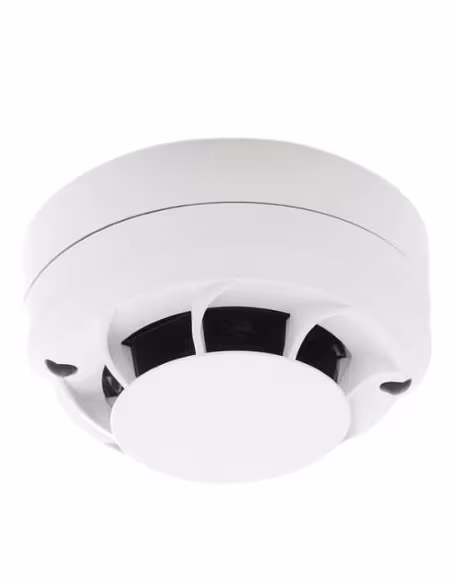 Comprar MORLEY | Loja Online Oficial