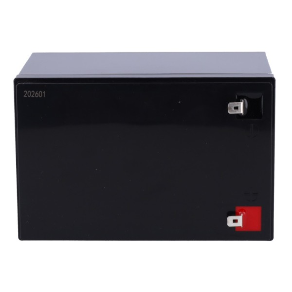 Comprar SAFIRE BATT-LI-1212 Batería recargable - Litio LiFePO4 - Tensión 12V - Capacidad 12Ah - 3000 ciclos - 151 (An) x 99 (Al)