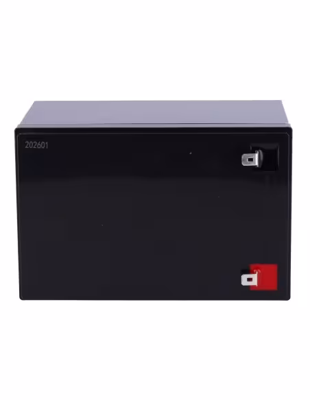 Comprar SAFIRE BATT-LI-1212 Batería recargable - Litio LiFePO4 - Tensión 12V - Capacidad 12Ah - 3000 ciclos - 151 (An) x 99 (Al)