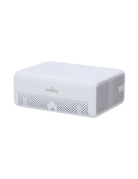 Comprar YOUKEY YOK-H310 Youkey Hub - Hasta 16 cámaras - Wi-Fi | Bluetooth | Cable - 16GB Almacenamiento interno - Altavoz | Vent