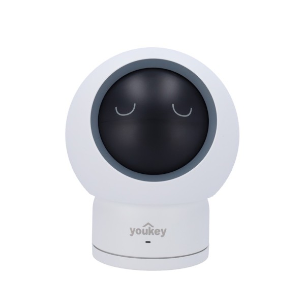 Comprar YOUKEY YOK-P310 Youkey Cámara PT - 4 MP | 2.8 mm | IR 5 m - Detección de movimiento | Seguimiento de Humano - Detección 