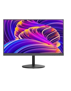 Acheter HIKVISION BASIC DS-D5222F2-1V1S HIKBASIC. Moniteur E-LED 21,45'' résolution 1920 x 1080 entrées 1 x HDMI 1 x VGA 1 x CVB