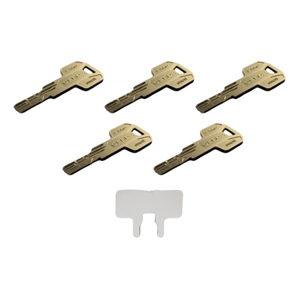 Acquista TEDEE TEDEE-CYLINDER-MODULAR-EXXO Cilindro regolabile ad alta sicurezza con doppia frizione - Anti-bumping, grimaldello