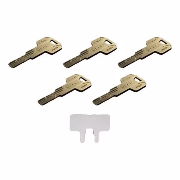 Comprar TEDEE TEDEE-CYLINDER-MODULAR-EXXO Cilindro regulable alta seguridad doble embrague - Anti-bumping, ganzúa, taladro y rot