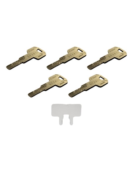 Comprar TEDEE TEDEE-CYLINDER-MODULAR-EXXO Cilindro regulable alta seguridad doble embrague - Anti-bumping, ganzúa, taladro y rot