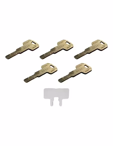 Comprar TEDEE TEDEE-CYLINDER-MODULAR-EXXO Cilindro regulable alta seguridad doble embrague - Anti-bumping, ganzúa, taladro y rot