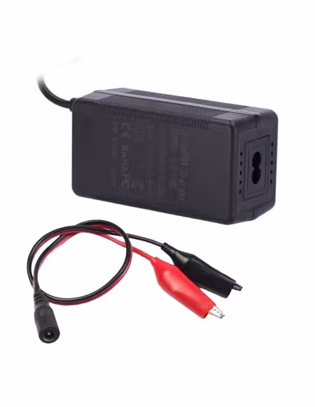 Acquistare OEM BATT-LI-CHARGER-5A Caricatore per batterie al Litio LiFePO4 - Uscita DC 14,6V / 5A - Ingresso AC - LED indicatore