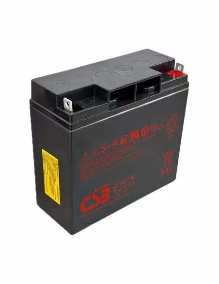 Acquistare OEM BATT-1217-CSB Batteria CSB ricaricabile - Tecnologia Piombo-Acido AGM - Tensione 12V - Capacità 12Ah - Per backup