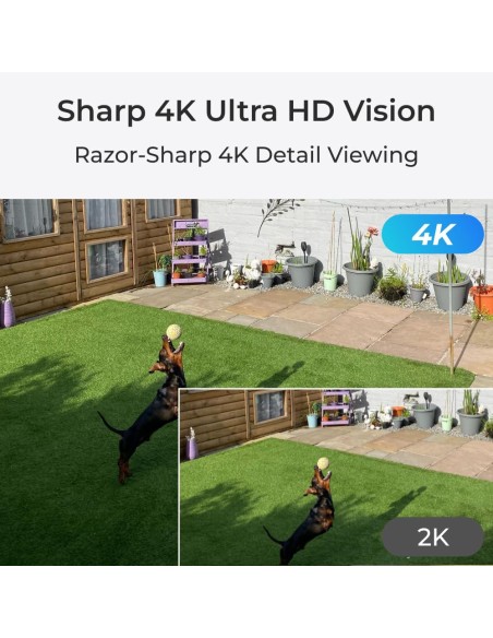 Comprar REOLINK RL-W330 Reolink Camara Dual WiFI W330 - 8MP (3840x2160) - IR 30 m / Dual WiFi - Deteccion de Personas / Vehículo