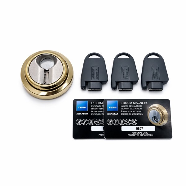 Comprar YALE TESA-ESCUTCHEON-MAGNETIC-G Escudo magnético de alta seguridad - Anti-rotura, extracción, taladro y mordaza - Núcleo