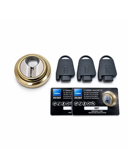 Comprar YALE TESA-ESCUTCHEON-MAGNETIC-G Escudo magnético de alta seguridad - Anti-rotura, extracción, taladro y mordaza - Núcleo