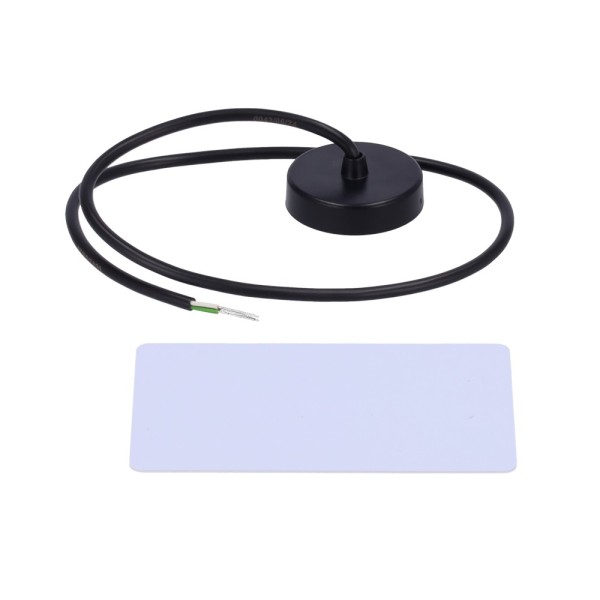 Comprar TELTONIKA TK-RFREADER-RFIDCARD Lector de tarjetas RFID 1-wire - Para identificador de conductor e inmovilizado - Tarjeta