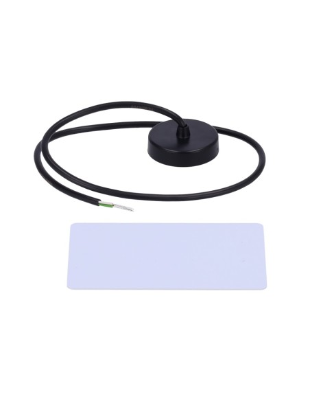 Comprar TELTONIKA TK-RFREADER-RFIDCARD Lector de tarjetas RFID 1-wire - Para identificador de conductor e inmovilizado
