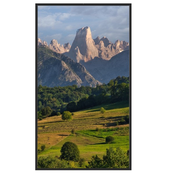 Comprar SAFIRE SF-55WF35-4K Monitor alto brillo 55"  - Resolución 4K - Brillo 3500 nits  - Funcionamiento 24/7 - Android 12