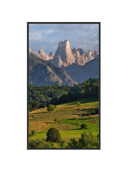 Comprar SAFIRE SF-55WF35-4K Monitor alto brillo 55"  - Resolución 4K - Brillo 3500 nits  - Funcionamiento 24/7 - Android 12