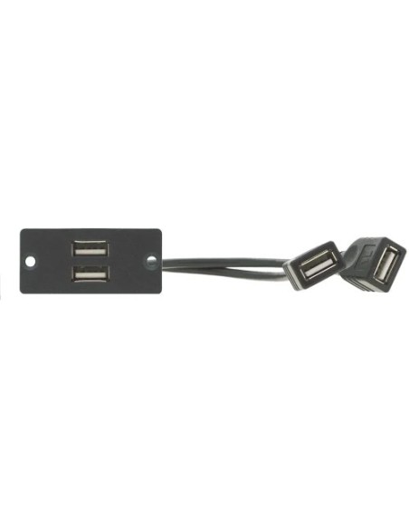 KRAMER 962293 80-021199 KRAMER Wall Plate de Inserción 2 x USB 2.0 (A/A) (WU-2AA)