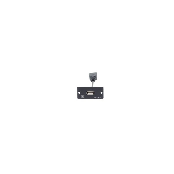 KRAMER 940810 85-0119199 Kramer Electronics Wall Plate Insert - USB (A/A) caja de tomacorriente Negro
