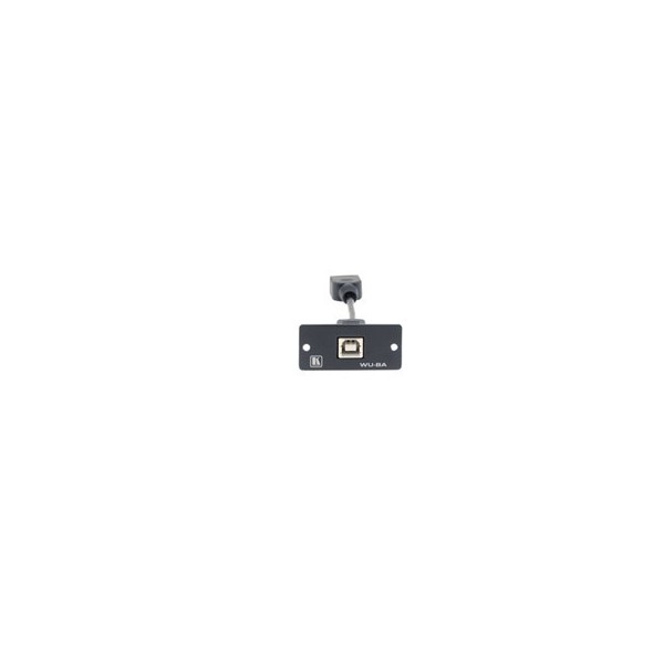 KRAMER 940799 85-0119499 Kramer Electronics Wall Plate Insert - USB (B/A) caja de tomacorriente Negro