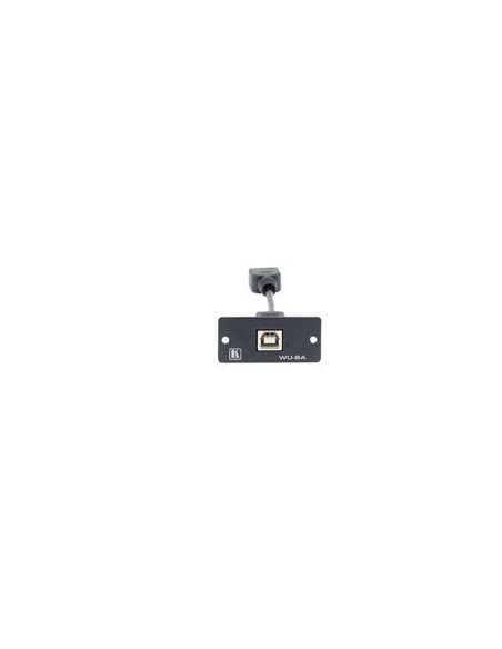 KRAMER 940799 85-0119499 Kramer Electronics Wall Plate Insert - USB (B/A) caja de tomacorriente Negro