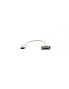 KRAMER 939907 99-9695030 Kramer Electronics DP - DVI-I 0.3m 0,3 m DisplayPort Blanco