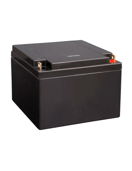 BOSCH 1376949 IPS-BAT12V-27AH BOSCH INCENDIO (IPS-BAT12V-27AH) BATERÍA DE EMERGENCIA DE 38 A 45AH 12V, LIBRE DE MANTENIMIENTO