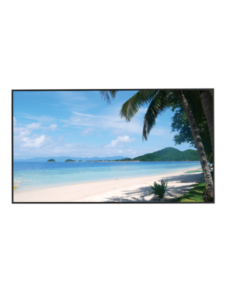 DAHUA 1377004 1.2.01.20.10097 DHI-LM55-S400: DAHUA MONITOR PROFESIONAL LED 55", 4K UHD 3840X2160, BRILLO 450CD/M2, 60HZ, 6MS, HD