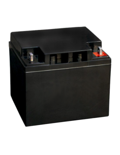BOSCH 1376948 IPS-BAT12V-45AH BOSCH INDCENDIO (IPS-BAT12V-45AH) BATERÍA DE EMERGENCIA DE 38 A 45AH 12V, LIBRE DE MANTENIMIENTO
