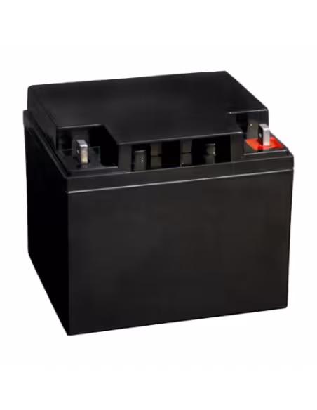 BOSCH 1376948 IPS-BAT12V-45AH BOSCH INDCENDIO (IPS-BAT12V-45AH) BATERÍA DE EMERGENCIA DE 38 A 45AH 12V, LIBRE DE MANTENIMIENTO
