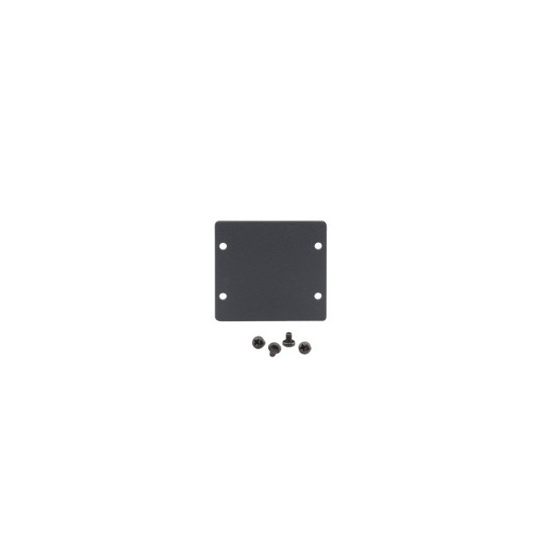 KRAMER 1339172 85-00705090 KRAMER ACCESSORIES & AV TOOLS AVSM WALL PLATE INSERT — DOUBLE BLANK SLOT COVER PLATE-MODEL (W-2BLANK(
