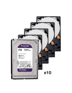 WESTERN DIGITAL-WESTERN-9-PACK_10_WD23PURZ-Pack de 10 discos duros de 2 Tb ( 2048 Gb ) Western Digital Purple