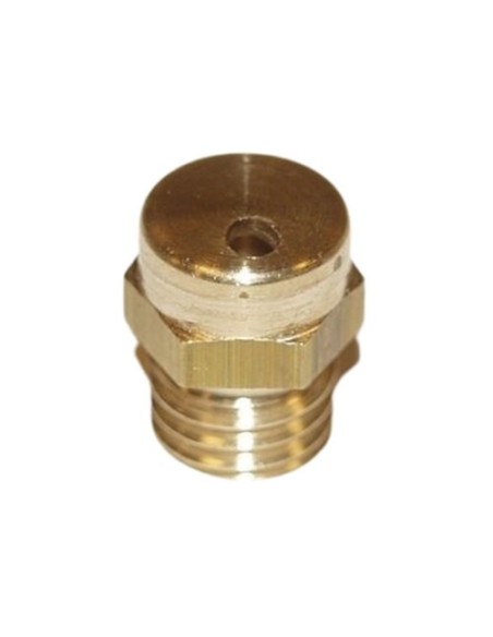 Acheter PROTECT NOZZLE 30 S PROTECT. Buse optionnelle à 30° pour les machines Protect QUMULUS/600i/1100i