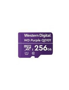 Acheter OEM SD-CCTV-256GB CASMAR. Carte mémoire MicroSD de 256 Go pour systèmes de CCTV. Classe 10. Prix susceptibles d’être aju