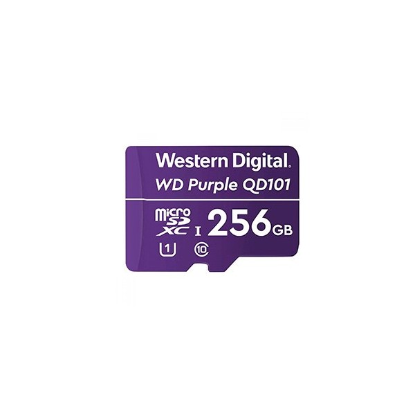Acquista OEM SD-CCTV-256GB CASMAR. Scheda di memoria MicroSD da 256 GB per sistemi di CCTV. Classe 10. Prezzi soggetti a variazi