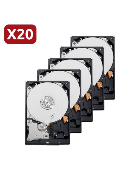 SEAGATE 20XHD1TB-S Pack de discos duros Seagate - Modelo ST1000VX001 - 20 unidades - 1 TB de almacenamiento - Especial para CCTV