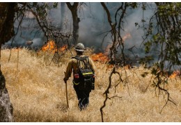 ¿Qué tipos de incendios existen? Conócelos