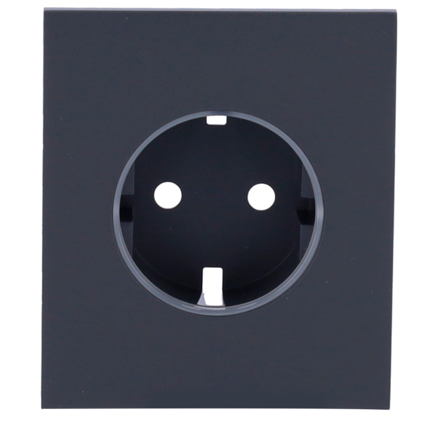 AJAX AJ-CENTERCOVER-GRA Tapa central para enchufe básico tipo F - Compatible con AJ-OUTLETCORE-BASIC - Protección contra polvo, (1)