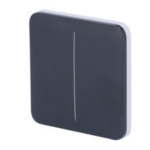 AJAX AJ-SOLOBUTTON-2G-GRA Panel táctil para interruptor de luz doble  - Compatibilidad con AJ-LIGHTCORE-2G - Retroiluminación LE