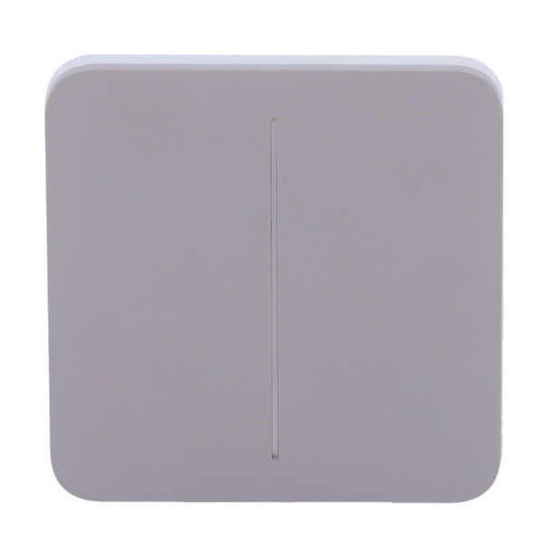 AJAX AJ-SOLOBUTTON-2G-GRE Panel táctil para interruptor de luz doble  - Compatibilidad con AJ-LIGHTCORE-2G - Retroiluminación LE (1)