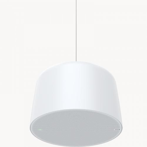 Axis 02389-001 C1510 NETWORK PENDANT SPEAKER