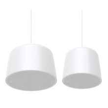 Axis 02390-001 C1511 NETWORK PENDANT SPEAKER