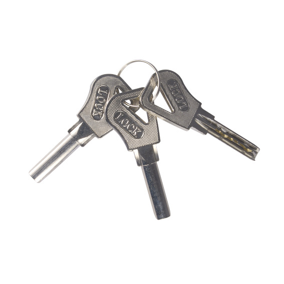 BYSECUR ABK-703B-S Cerradura de seguridad inteligente de superficie electromecánica Fail Secure (NO). Acero inoxidable (3)