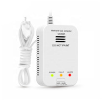BYSECUR GS869 Detector de Gas Alimentación AC 220V/50Hz