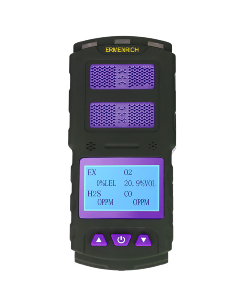 Detector de gas Ermenrich NG60